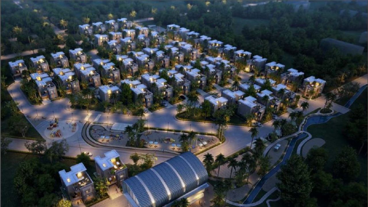 bluejay aster Cover Image