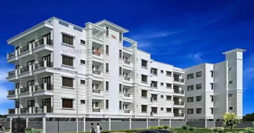 Vista Auburn Cover Image