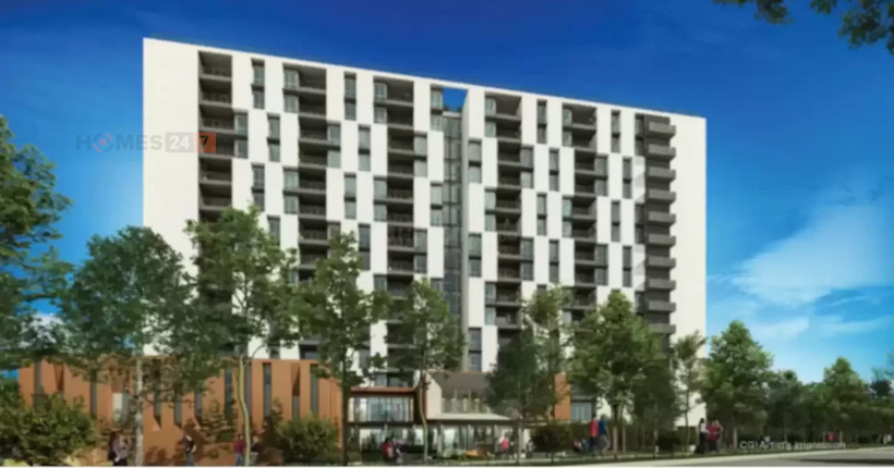 Asset Aura  Cover Image