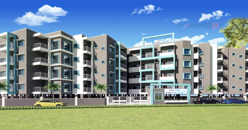 Asset Placid  Cover Image