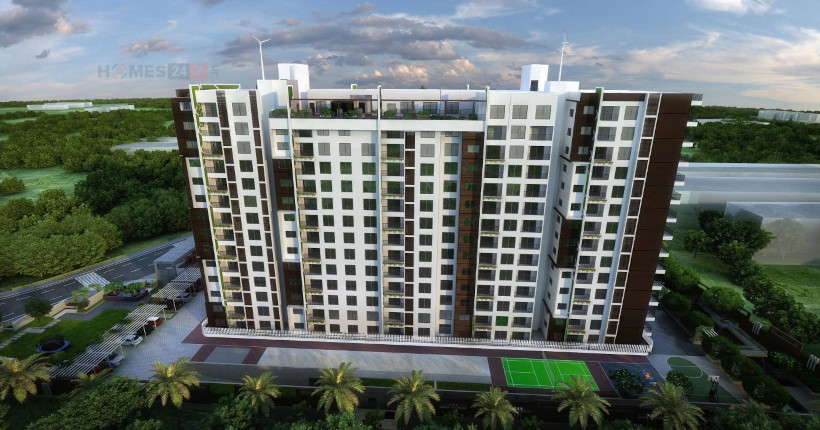 Asset Northen Star Cover Image