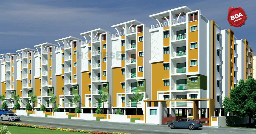 SK Daisy Cover Image