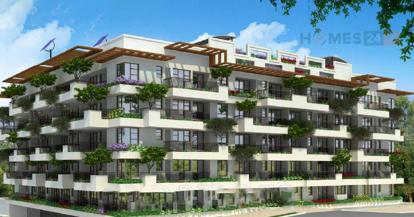 Samskruti Hoysala Cover Image