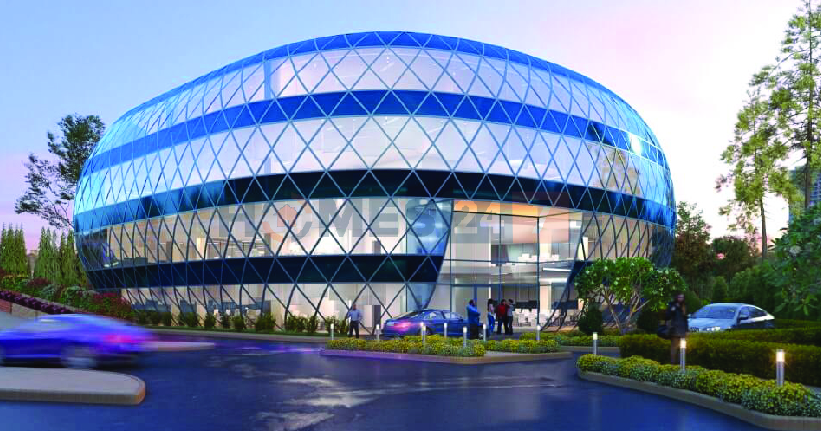 Prime The Treeline Cover Image