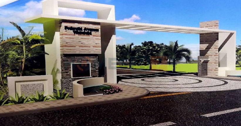 Prakruti White Field  Cover Image