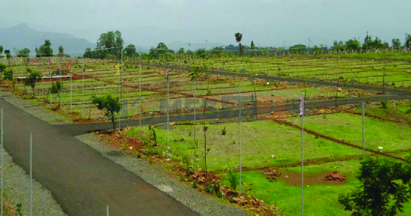 Nature Magnets III in Nandigama, Hyderabad