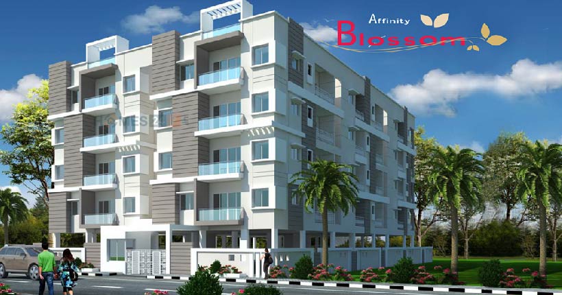 Affinity Blossom Cover Image