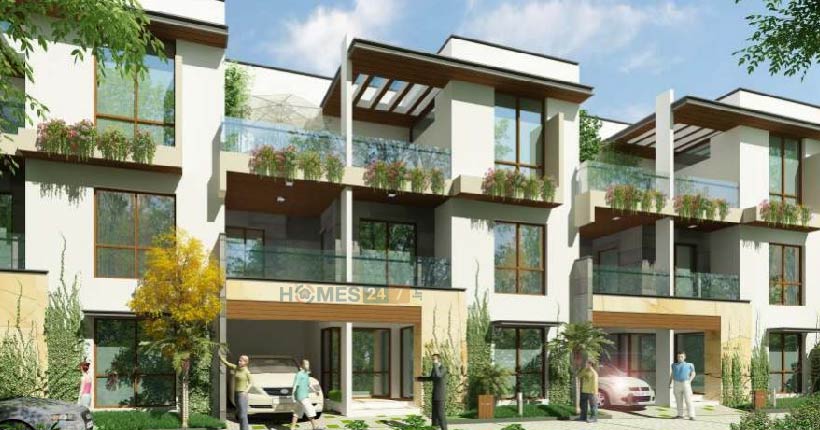 Venus Gardenia Cover Image