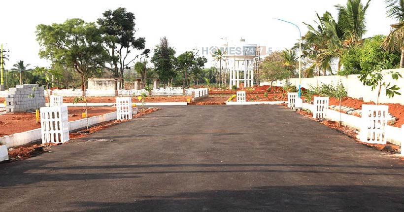 SJ  Green Meadow Cover Image