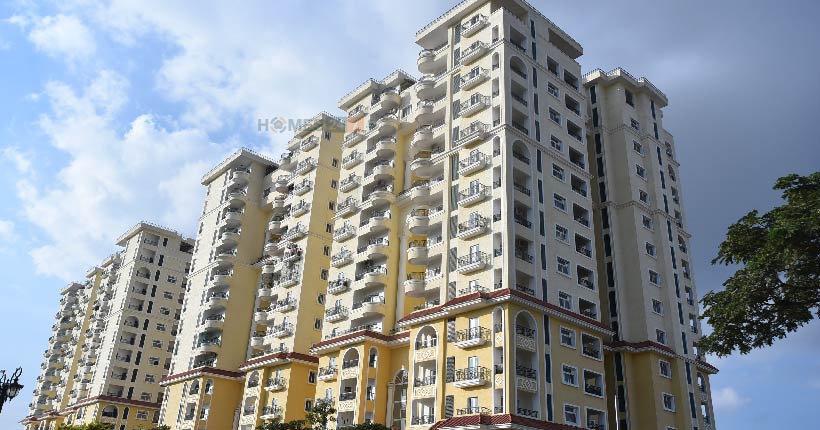 Ashed Regency La Majada Cover Image