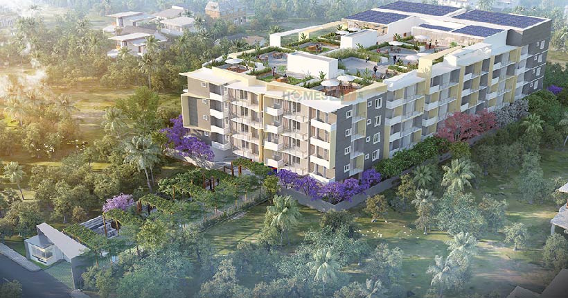 Navanaami Lavender Cover Image