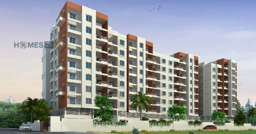 Caratlane Marigold Cover Image