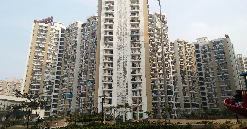 Prateek Wisteria Cover image