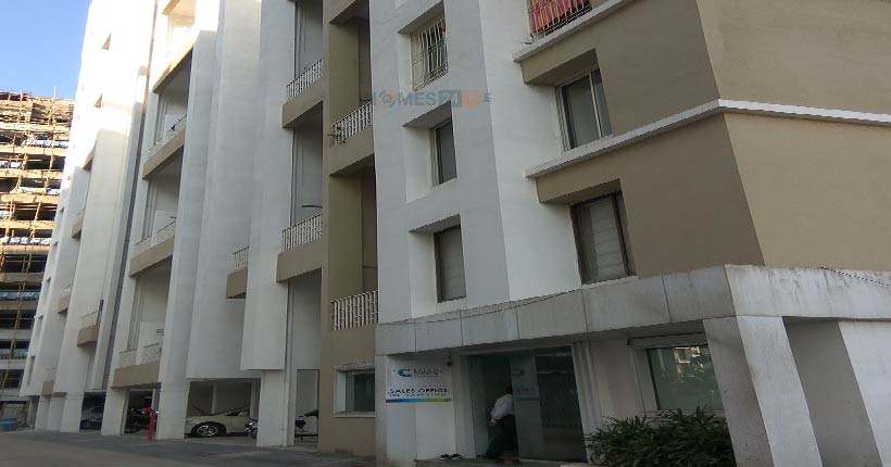 Balaji Mesmero Cover Image