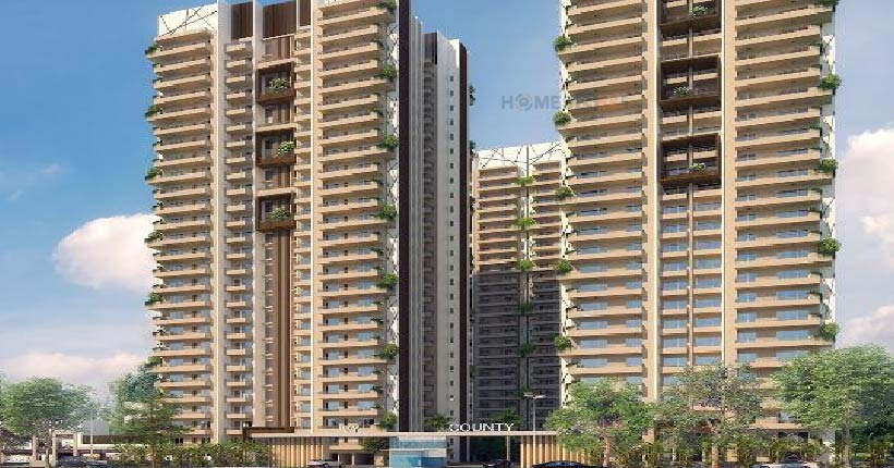 Ivy County Cover Image