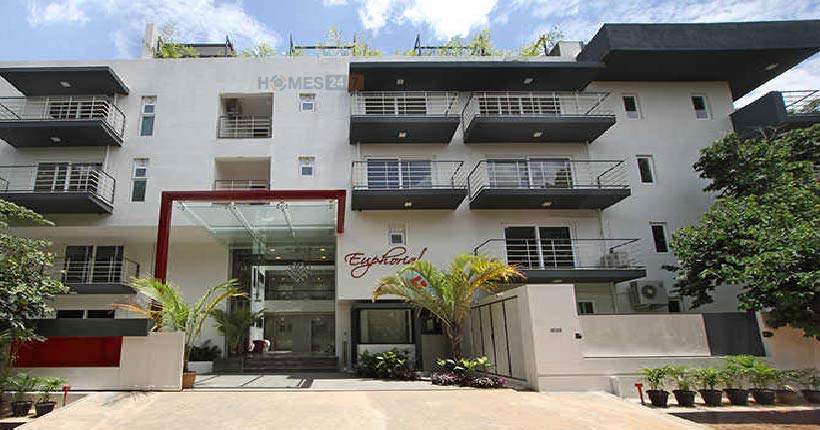 Gokaldas Euphoria Cover Image