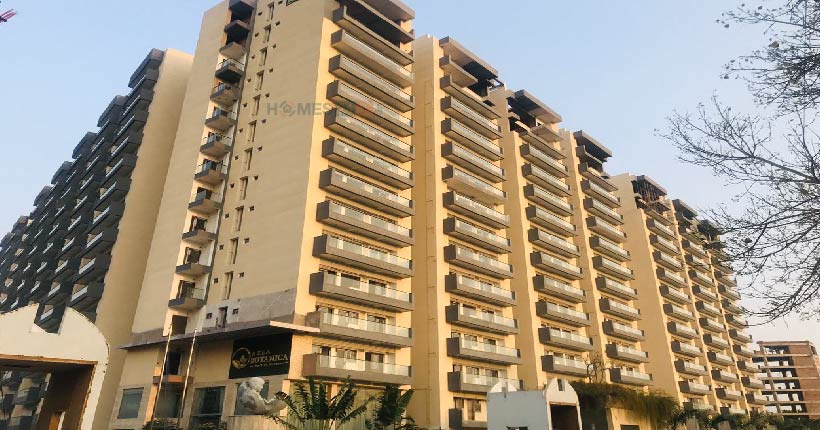 Azea Botanica Cover Image