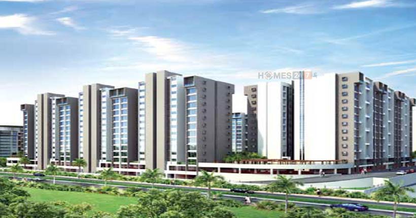 Sanklecha The Metrozone Cover Image