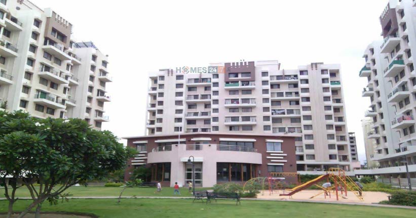 Dreams Elina Cover Image