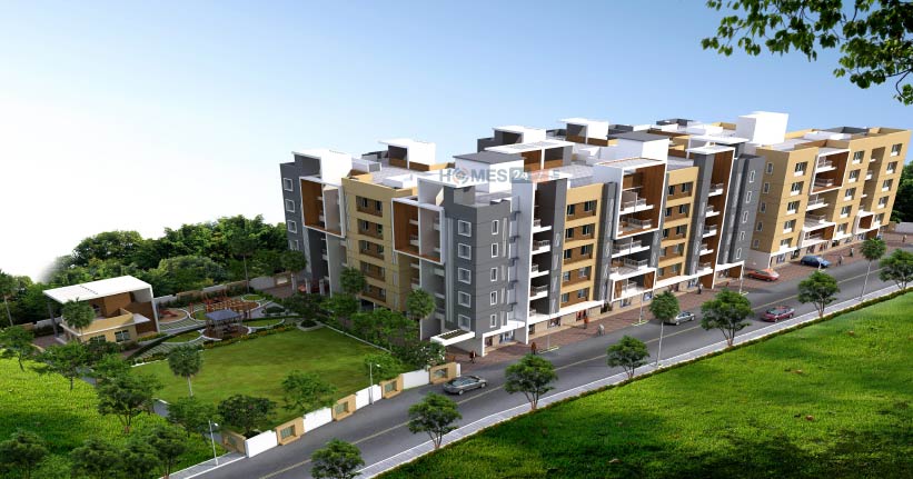 Global Morella Cover Image