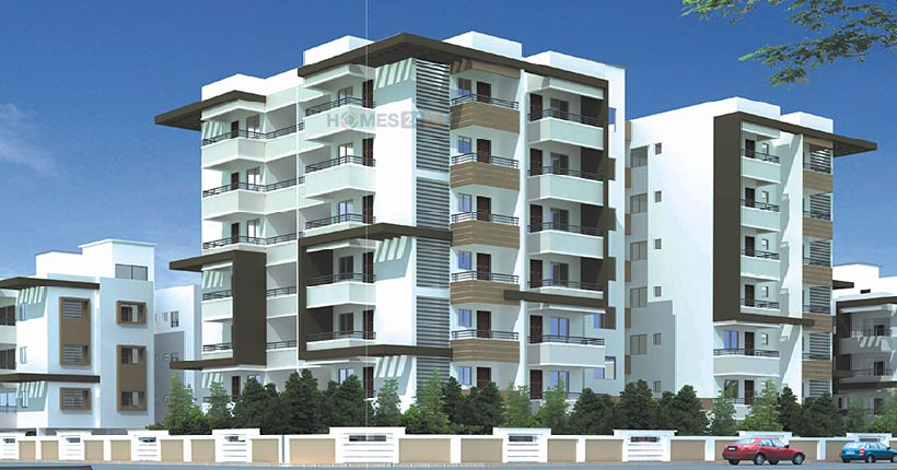 Pushkar Morning County Cover Image