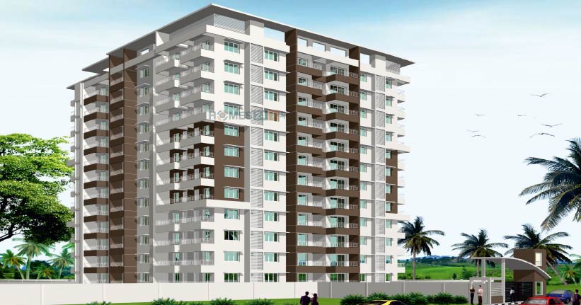 Marian Proximus Cover Image 