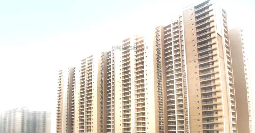 Cleo County Cover Image