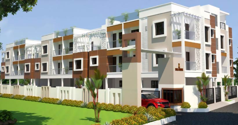 Ryka Chola Brooks Cover Image