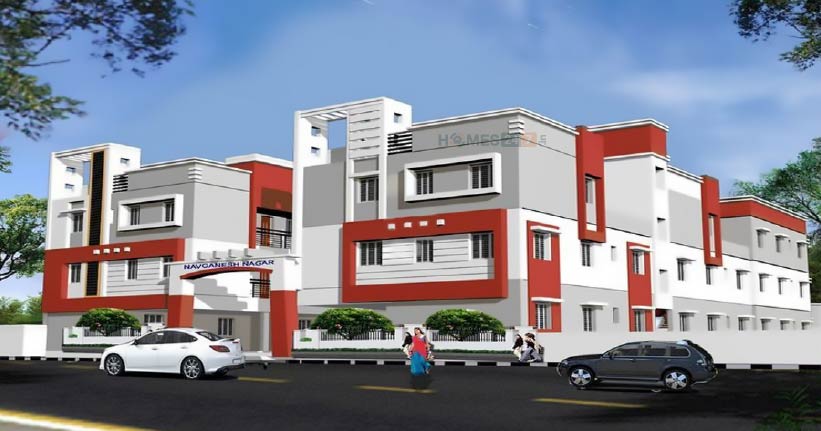 Navganesh Tulip Cover Image