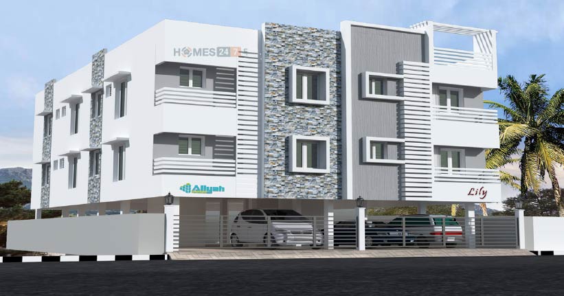 Aliyah Lily Cover Image