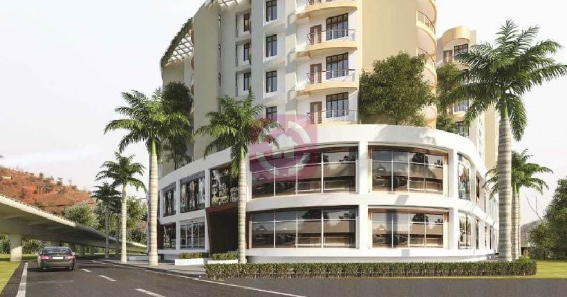 Prachi Y Point Cover Image