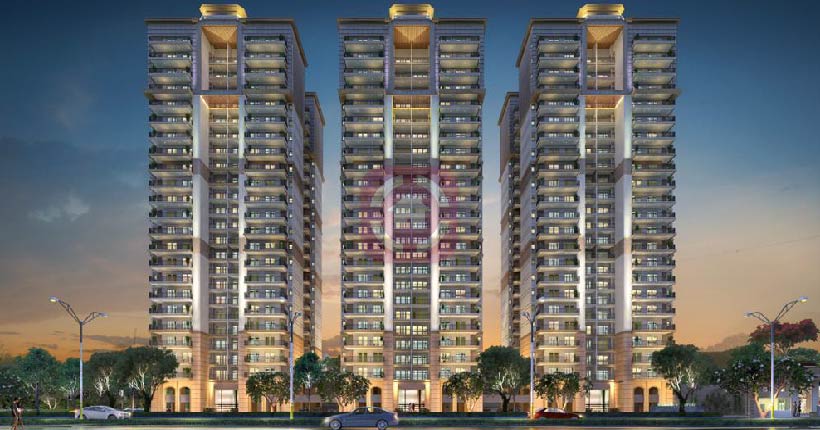 Turnstone The Medallion Cover Image