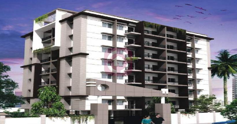 M Square Heights Cover Image