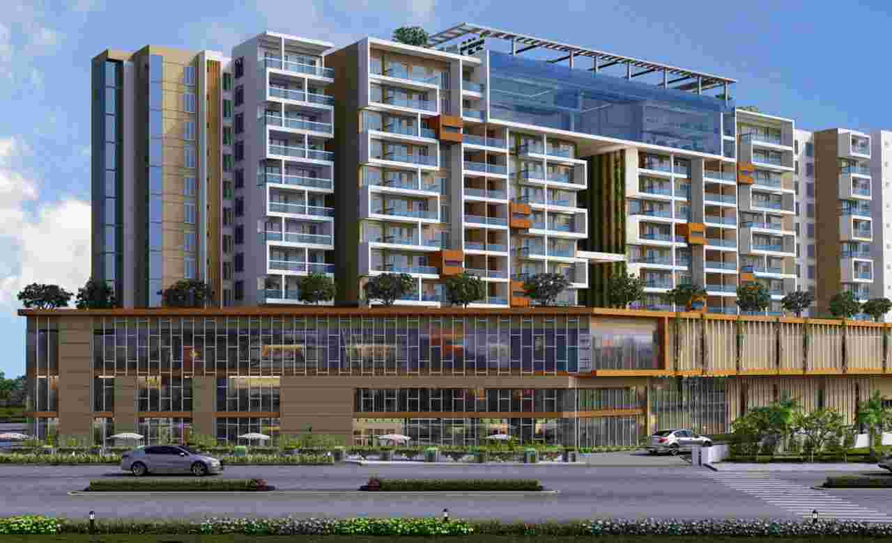 Vajram Esteva Cover Image