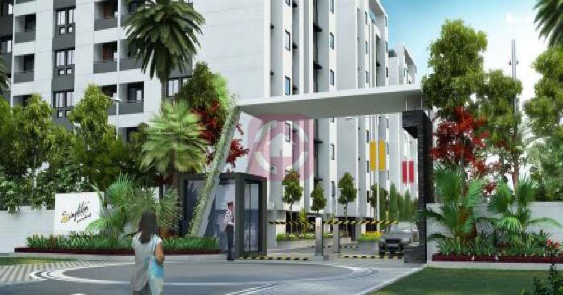 Shamit Singleton Cover Page