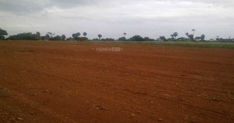 Arshi Hillview Garden Cover Image