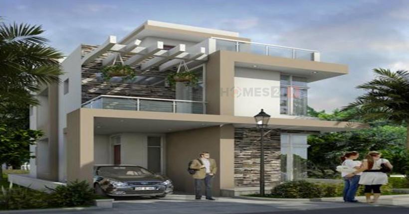 jr greenwich Cover Image