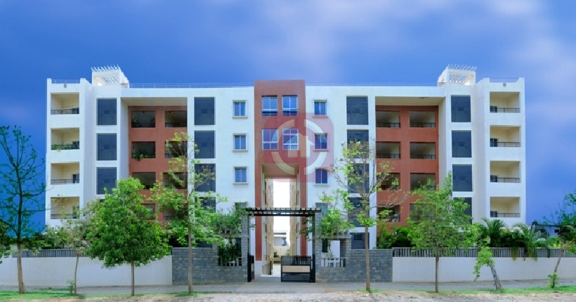 Foundations Prime And Pride