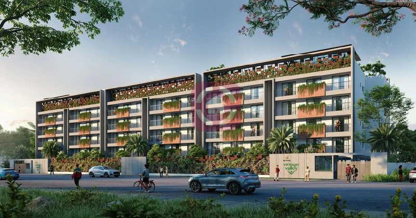 Reviva Vintage Valley